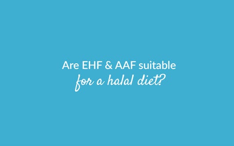 Are Ehf And Aaf Halal Suitable Image Banner